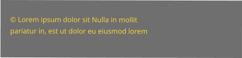 © Lorem ipsum dolor sit Nulla in mollit pariatur in, est ut dolor eu eiusmod lorem